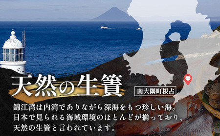 鹿児島県産 アマダイ 干物 (中サイズ1枚入り)×2パック ≪合計2枚≫［25センチ前後］PT-7 | 開き 大隅干し 冷凍 国産 鯛 甘鯛 ひもの 海鮮 新鮮 瞬間冷凍 産地直送 加工品 朝ご飯 お