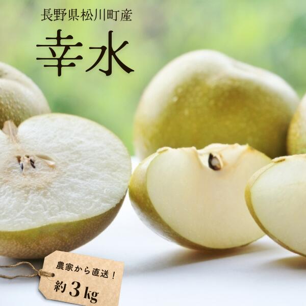 【ふるさと納税】梨 幸水 約3kg（6～9玉）松川町産 贈答／8月下旬頃～配送予定 //南信州産 長野県 和梨 なし ナシ 3キロ 幸水 農家直送 農家支援 KW09