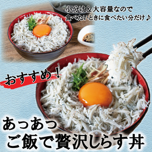 訳あり しらす 約1.25kg 訳あり 不揃い しらす干し ごはんのお供 おつまみ 便利 しらす丼 グルメ 食品 魚 海鮮 シラス 愛媛県 松山市 （ しらす 訳あり しらす 訳あり しらす 訳あり 