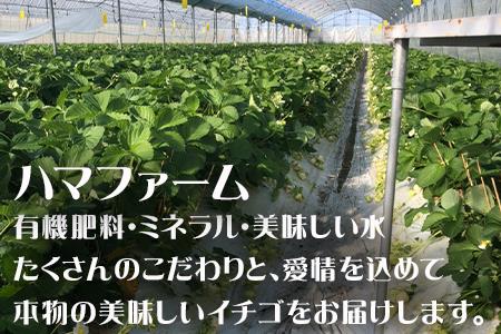 『予約受付』【令和6年2月中旬発送】唐津産 白いちご「雪うさぎ」苺 イチゴ 希少 果物 フルーツ ハマファーム