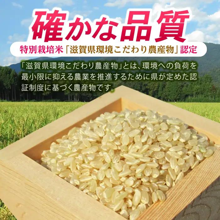 低農薬栽培 ミルキークイーン 玄米5kg[AQBL022] 玄米