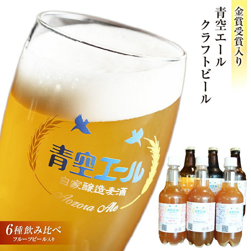【ふるさと納税】青空エールこだわりのクラフトビール飲み比べ詰め合わせセット〈フルーツビール入り〉6種6本（330ml 瓶×3本、500mlペットボトル×3本）お酒 酒 ビール クラフトビール 飲み比べ 味比べ セット 詰め合わせ 贈答 贈り物 ギフト お中元 お歳暮 宮崎県 宮崎市