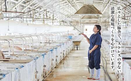 東村産アグーブランド豚『パイとん』しゃぶしゃぶ用 600g（肩ロース）