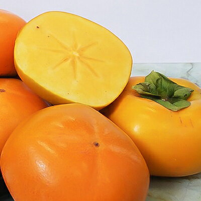 【ふるさと納税】【令和8年度】柿カテゴリ上位獲得!　JAわかやま(紀北地域)のたねなし柿　7.5kg　L又は2L_ 柿 たねなし柿 果物 フルーツ くだもの ふるーつ 青果 国産 和歌山 かき 種無し 種なし 人気 送料無料 産地直送 甘い 贈答 ギフト プレゼント 【1237822】