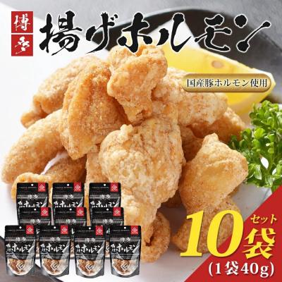 ふるさと納税 古賀市 博多揚げホルモン(10袋セット)