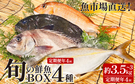 鮮魚ボックス 4種 定期便 4回 鮮魚