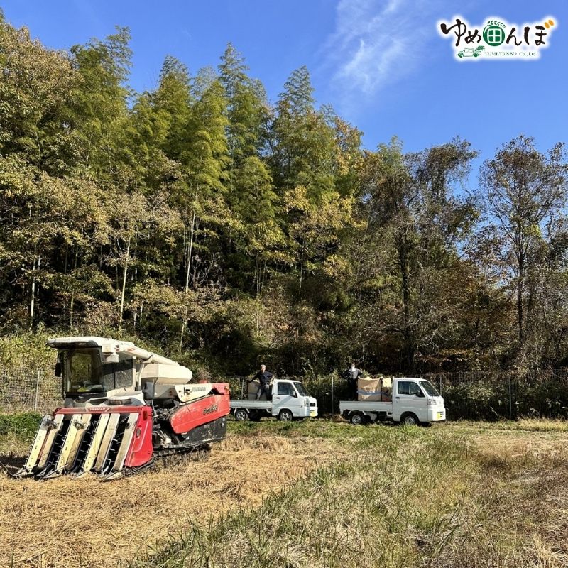 三重県産　伊賀お得米　30kg　玄米 / お米 ごはん ご飯 米 伊賀市 三重県 おいしい 美味しい おにぎり ライス 健康志向 食物繊維【ymtb0002】