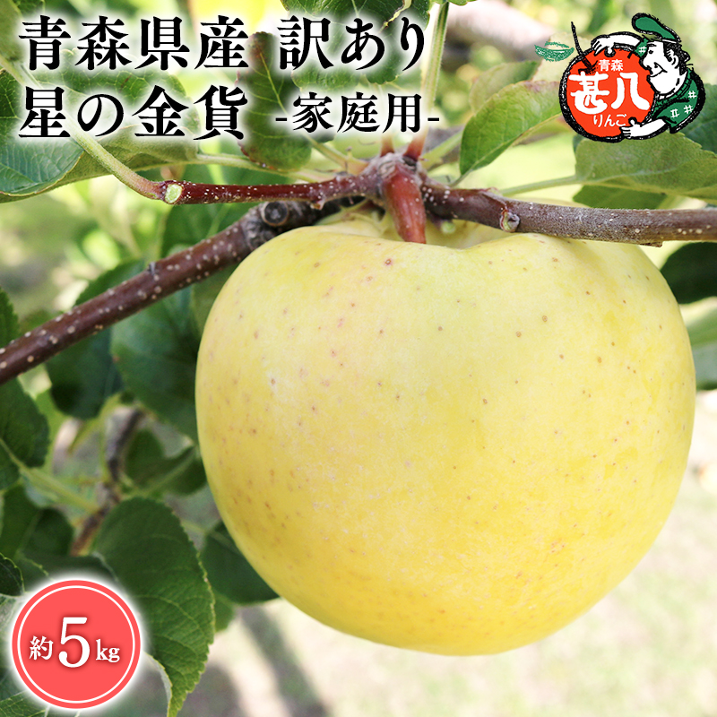 １１月発送　訳あり　家庭用　甚八りんご星の金貨5kg　【マルジンサンアップル　11月　青森県産　平川市　りんご　星の金貨　5kg　訳あり　家庭用】