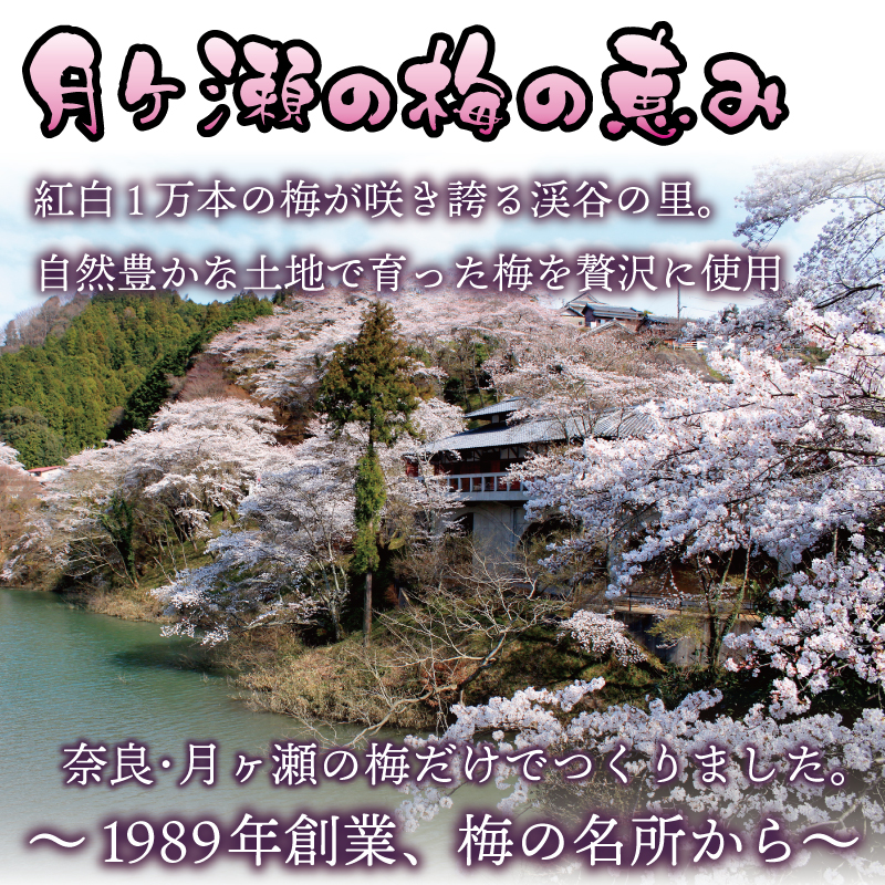 U-77 月ヶ瀬梅渓すっぴん梅塩分0パーセント梅ピューレ
