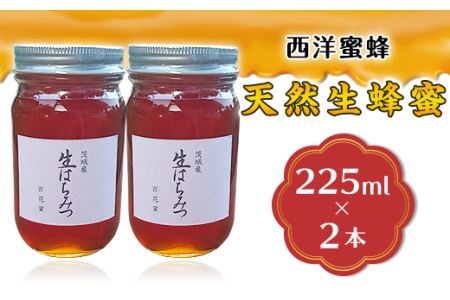 天然生蜂蜜（西洋蜜蜂）2本セット【 天然はちみつ 生はちみつ 人気はちみつ 茨城はちみつ 下妻はちみつ 】