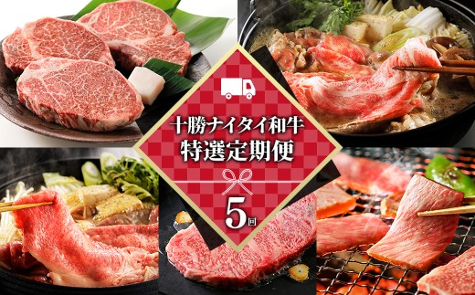 十勝ナイタイ和牛 特選 定期便 5回 5ヵ月定期便 国産 北海道 牛 肉 牛肉 和牛 5・4等級 黒毛和牛 オレイン酸含有率55%以上 焼肉 すき焼き ステーキ サーロイン ヒレ フィレ 肩ロース リブロース 冷凍 ［150-TN60］