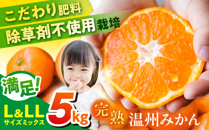 【先行予約】【嬉しい年末発送】【数量限定300セット】温州みかん　Lサイズ＆LLサイズ 5kg　津久井浜みかん【志村農園】 [AKGH008]