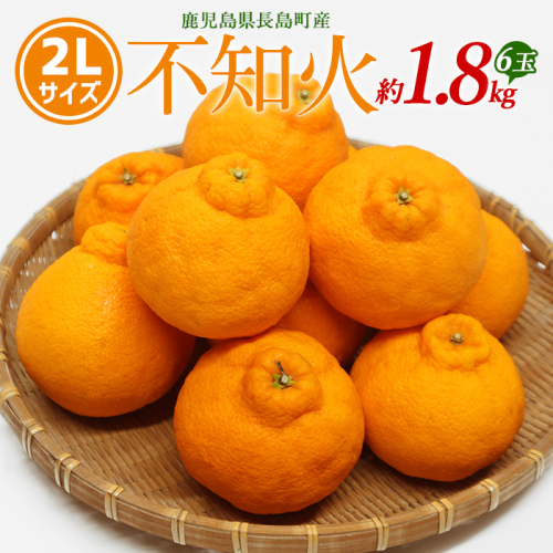 不知火 2Lサイズ 6玉入り約1.8kg 【山上農園】yamagami-774