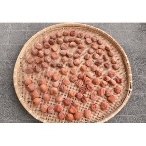2024/6月より発送【梅干し・梅酒用】紀州和歌山の熟南高生梅　MorL-2kg【配送不可地域：離島・北海道・沖縄県】【1294812】