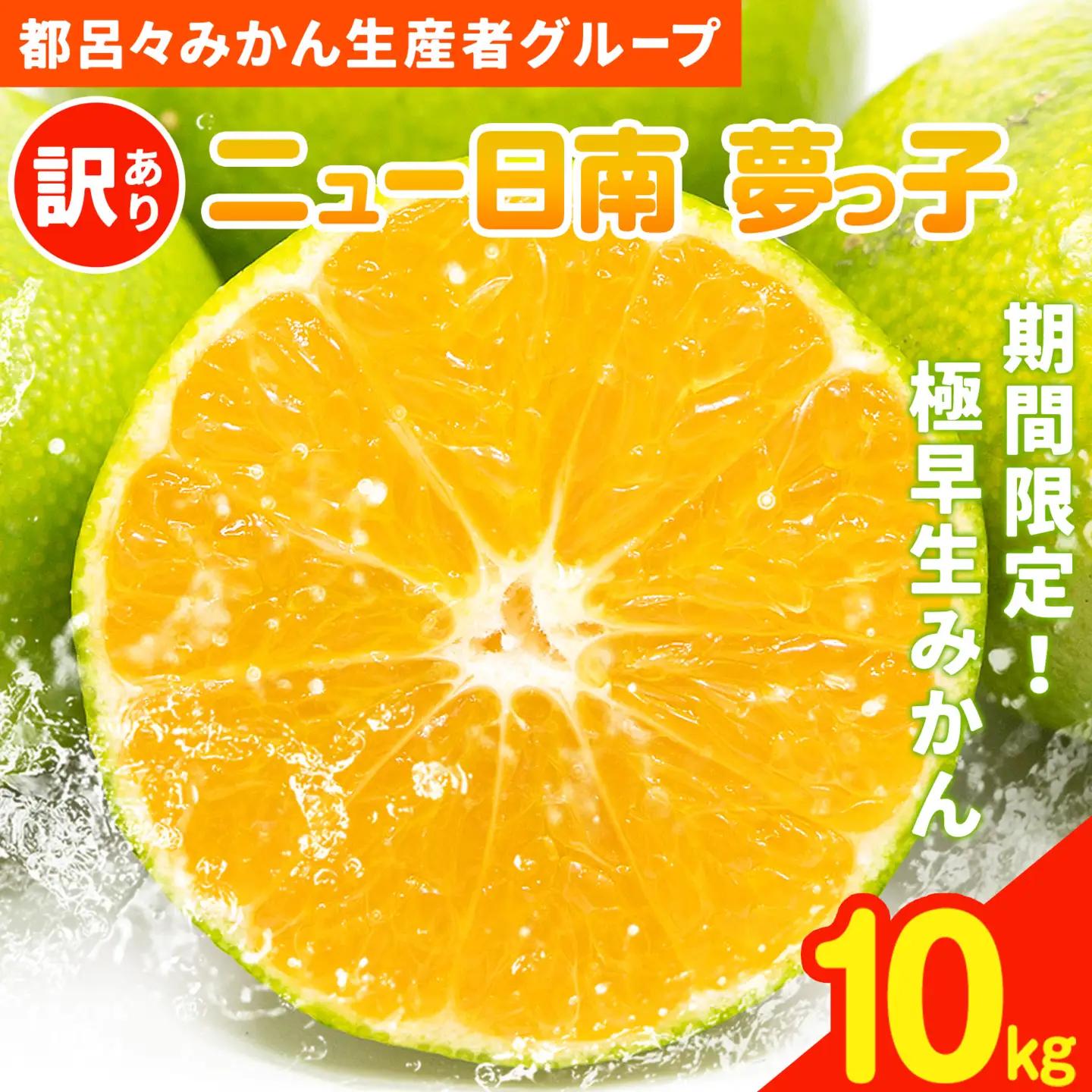 【先行予約】みかん 極早生みかん 夢っ子 10kg 