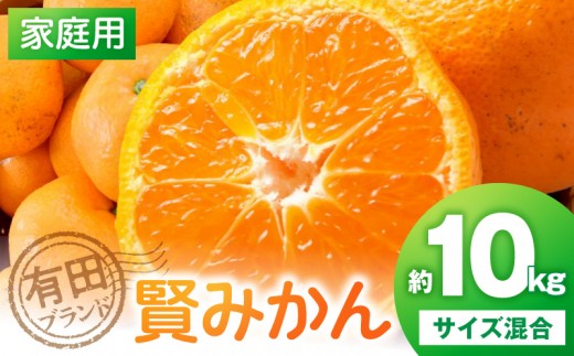 
                  【家庭用】有田ブランド 賢みかん 約10kg（サイズ混合）_ZD92066
                