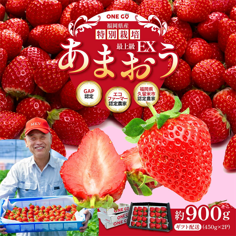 【ふるさと納税】ギフト配送 約450g×2パック 約900g EX 福岡県産 あまおう 特別栽培 いちご 苺 ストロベリー 果物 フルーツ 福岡 国産 ギフト 送料無料【2026年1月上旬-3月下旬発送予定】