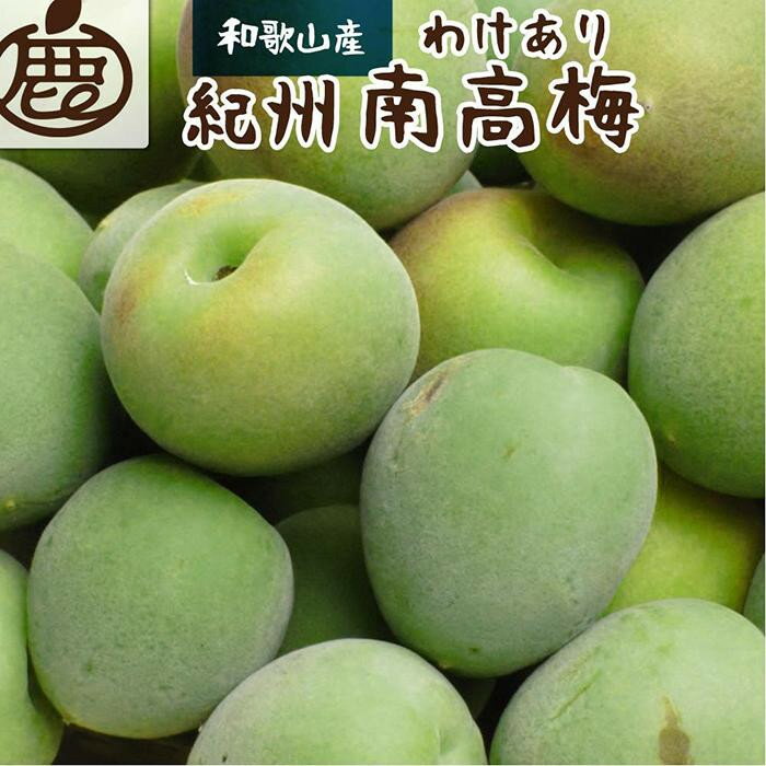 【ふるさと納税】【選べる容量】家庭用 紀州南高梅(青梅) 1～5kg+250g（傷み補償分）【梅干し・梅ジュース】【訳あり】 ［IKE112］ | フルーツ 果物 くだもの 食品 人気 おすすめ 送料無料 梅干し 梅酒 梅ジュース