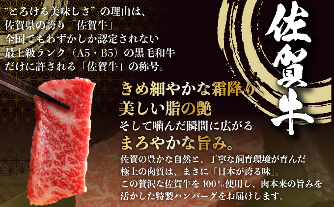 佐賀牛ハンバーグ 12個【25gf-0049】																																
