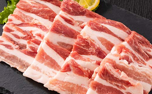 山形県 戸沢村産 戸澤豚一番育ち バラ 600g(300g×2) 焼肉用 豚肉 豚 肉 ポーク 国産 ブランド豚 冷凍 BBQ バーベキュー 贈答用 贈り物 プレゼント 自宅用 家庭用 F7W-006