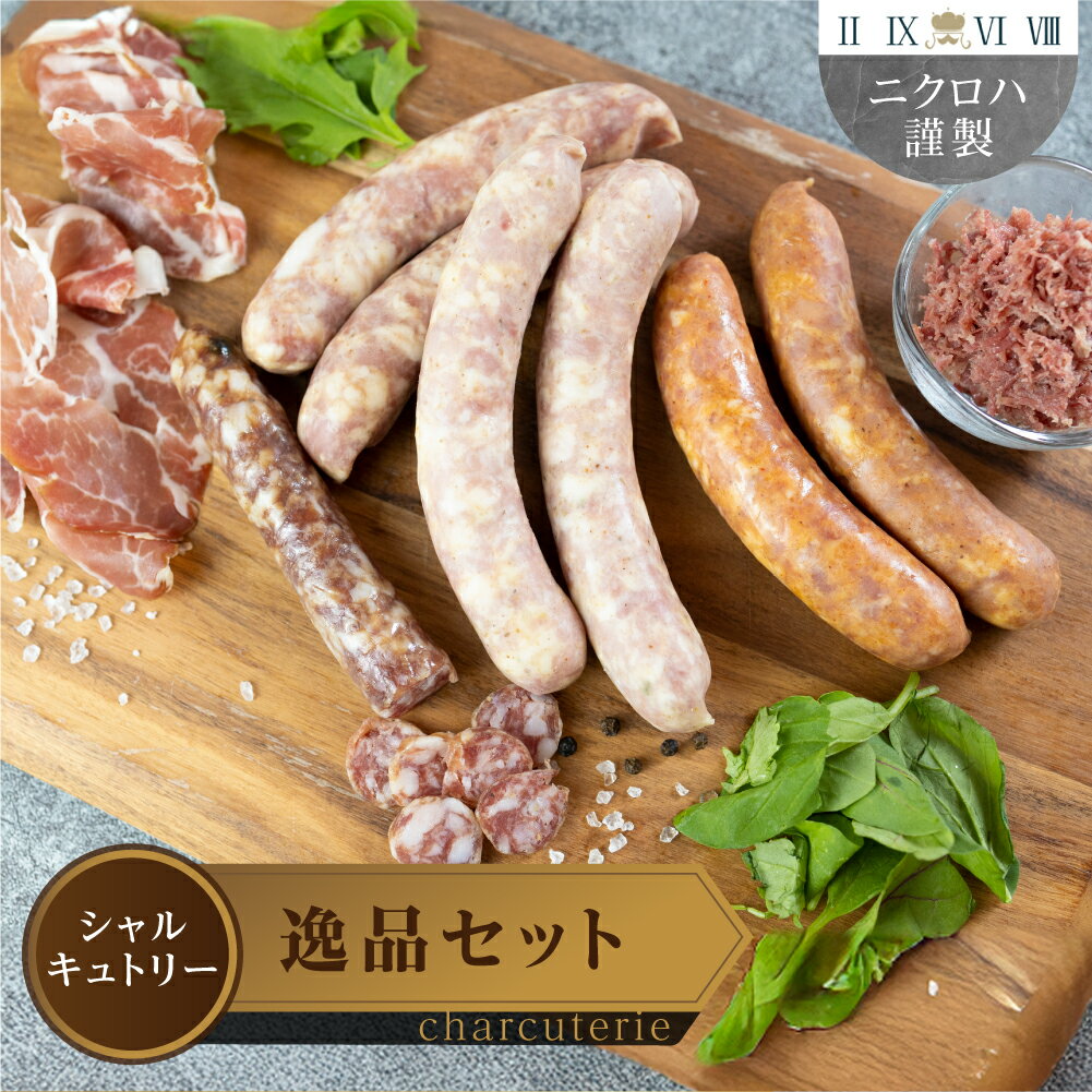 【ふるさと納税】世界のシャルキュトリーセットA 送料無料 愛知県 豊橋市