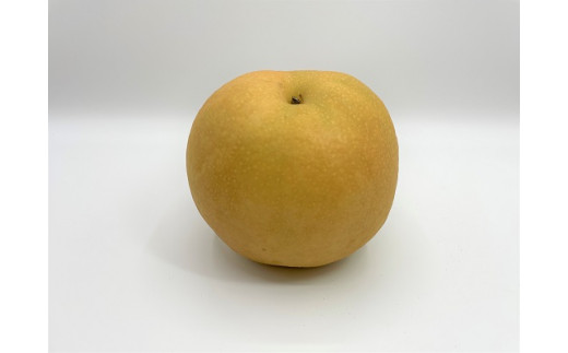 新興 約5kg / 飯田梨園 /梨 なし 朝獲り 果物