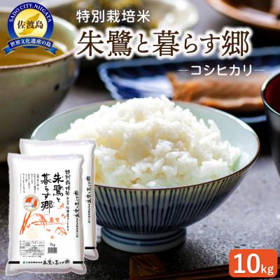 ふるさと納税 佐渡市 特別栽培米佐渡産コシヒカリ・朱鷺と暮らす郷10kg(5kg×2)