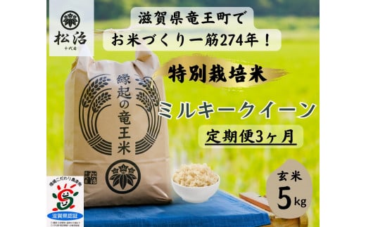 【 数量限定 】 定期便 ミルキークイーン 玄米 5kg × 3ヶ月 縁起の竜王米 ( 令和7年産 新米 玄米 5kg 3回 定期 お米 おこめ ごはん 米 特別栽培米 ブランド米 ライス こだわり米 ギフト 国産 縁起の竜王米 滋賀県竜王町 )