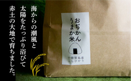 【全6回定期便】【令和6年度産】おぢかんうまか米（小値賀町産こしひかり 約5kg ・精白米）総計30kg  [DAB016] コシヒカリ こしひかり 米 お米 白米 ご飯 精米 お弁当  常温 [DA