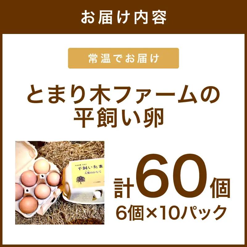 とまり木ファームの平飼い卵（6個入×10パック）【124C-001】