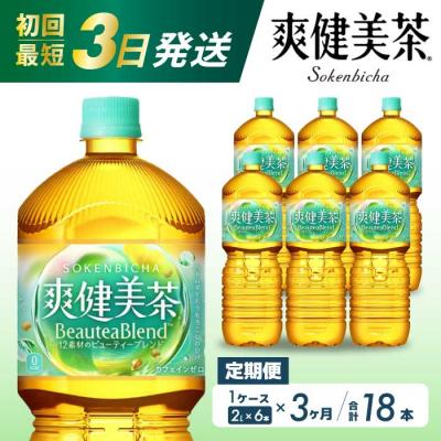 ふるさと納税 三原市 【定期便3か月】爽健美茶2L PET 6本セット(1ケース) [014-064]