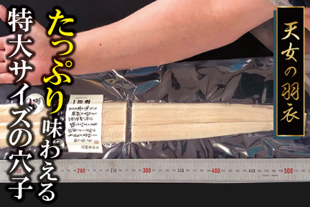 特大 あなご一夜干し 1尾 250g 「天女の羽衣」【穴子 一夜干し 250g 穴子干物 魚介類 魚 アナゴ 干物 特大 50cm 無添加 天日塩 新鮮 冷凍 真空パック 贈答 ギフト 父の日 母の日