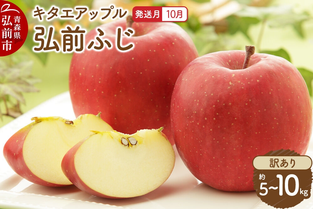 
                  りんご【26年10月発送】弘前ふじ【訳あり】【選べる約 5kg／10kg】キタエアップル 青森県 弘前市 [先行予約 弘前ふじ りんご 訳あり 家庭用 アップル おいしい 果実 果物 赤色 美味 林檎]
                