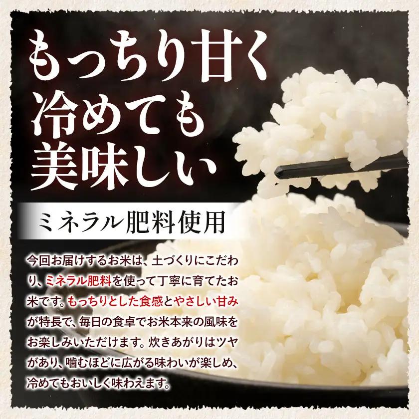 ＼熊本県 南関町産／ 令和7年産 米 白米 5kg(5kg×1袋) ひのひかり《30日以内に出荷予定(土日祝除く)》 ミネラル肥料栽培米 精米 国産米 単一原料米 ごはん お米 ご飯 九州産 ヒノヒカ