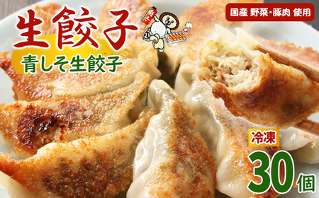 国産 冷凍 青しそ 生餃子 30個入【生餃子専門店ぽんぽこ】 ぎょうざ 餃子 ギョーザ ギョウザ 惣菜 総菜 おかず 弁当 冷凍餃子 冷凍食品 冷食 自宅用 家庭用 仕送り お取り寄せ 紫蘇 詰め合わせ 詰合せ 詰め合せ 詰合わせ セット 人気 おすすめ
