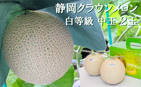 クラウンメロン マスクメロン 並 白等級 中玉 クラウンメロン【約1.3kg 2玉】