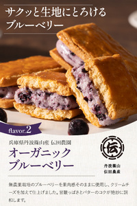 【ふるさと納税限定】【厳選素材】３種のクッキーサンド ( 甘夏 ブルーベリー バニラ ) 10個セット | 兵庫県 丹波篠山市 バターサンド クッキーサンド 冷凍 小分け 人気 バレンタイン ギフト 