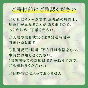 【2月中旬発送】キウイフルーツ ヘイワード キウイ 5kg 国産 船橋市産 やまちょう園 選べる発送時期 期間限定 数量限定 限定 先行予約 果物 フルーツ
