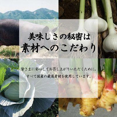 ふるさと納税 南九州市 国産素材にこだわった鹿児島黒豚餃子120個 |  | 01