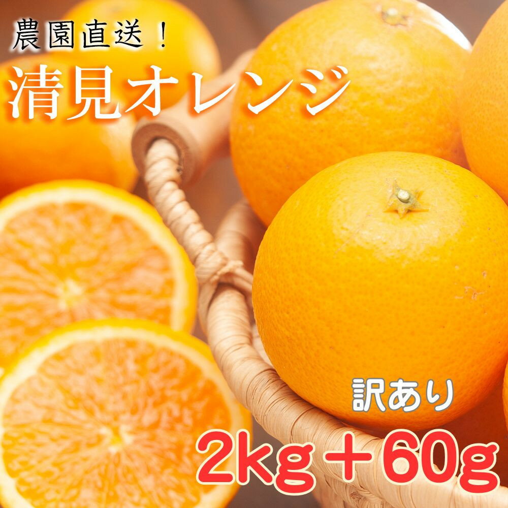 【ふるさと納税】【選べる内容量】清見オレンジ 約2～10kg 大小混合 《ご家庭用》 ちょっと訳あり 和歌山県産 農園直送 まごころ産直みかん 【北海道・沖縄県・一部離島 配送不可】 | フルーツ 果物 くだもの 食品 人気 おすすめ 送料無料 訳アリ わけあり みかん きよみ