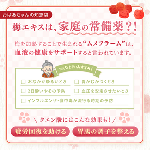 凝縮された100％梅！ 梅エキス 10ml 
