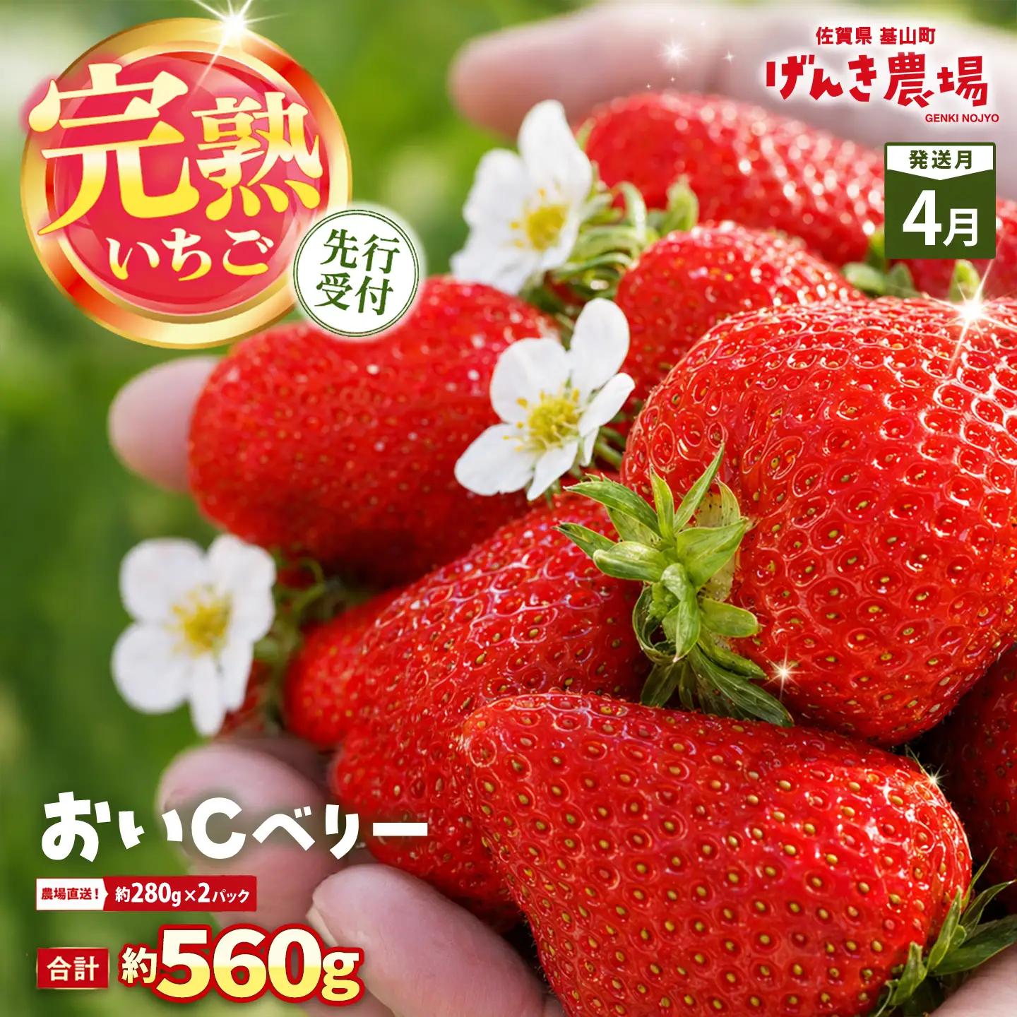 【2027年4月発送】【先行予約】【農場直送！】おいCベリー(約280g×2P) K100113