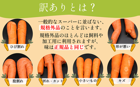 BH052 人参 訳あり 堀農園のこだわり人参 約10kg [ 贅沢宝庫 長崎県 島原市 ]