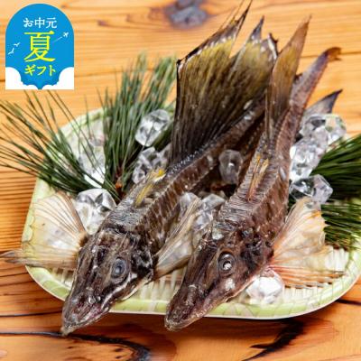 ふるさと納税 紋別市 【お中元】オホーツク八角丸干し1kg