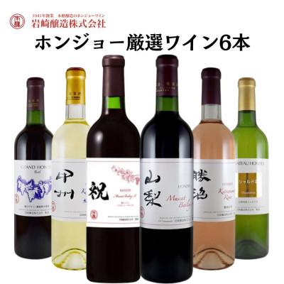 ふるさと納税 甲州市 ホンジョーワインおススメ6本セット　E-624