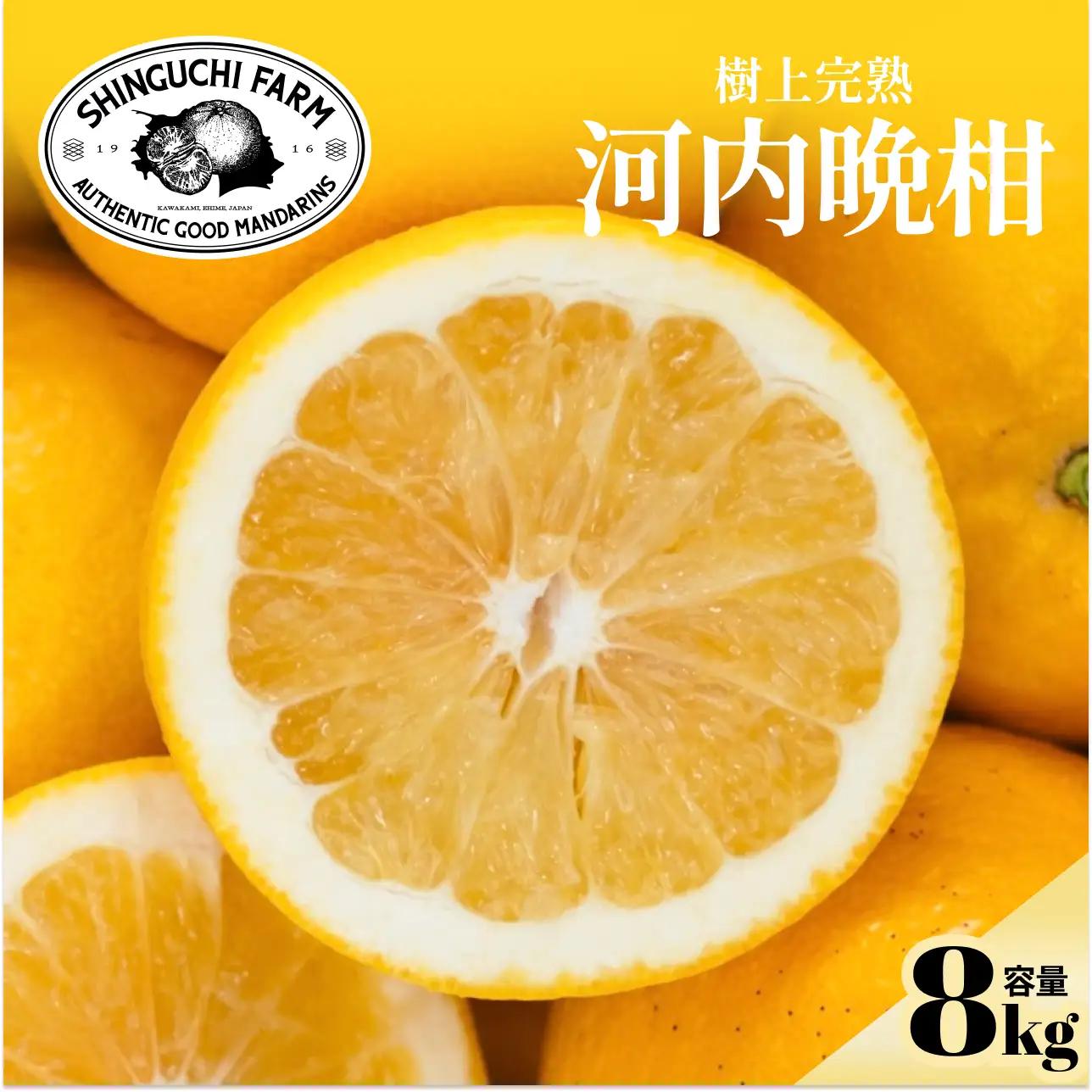 【先行受付】【太陽の恵みをギュッと凝縮】河内晩柑 8kg 愛媛県産【D70-17】【1470707】 YWTK017