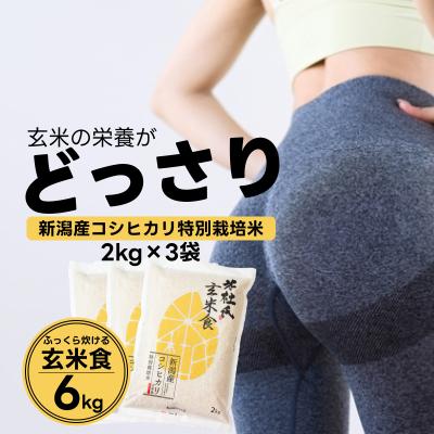 ふるさと納税 阿賀野市 【令和7年産】ふっくら玄米食 6kg(2kg×3)米杜氏 新潟県阿賀野市産 特別栽培コシヒカリ