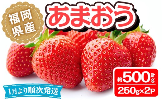 
                  ＜先行予約受付中！2027年1月中旬～3月末に順次発送予定＞ 福岡県産 あまおう (計約500g・250g×2P)いちご 苺 フルーツ 果物 くだもの 冷蔵 ＜離島配送不可＞【ksg1489】【エフビーネット】
                