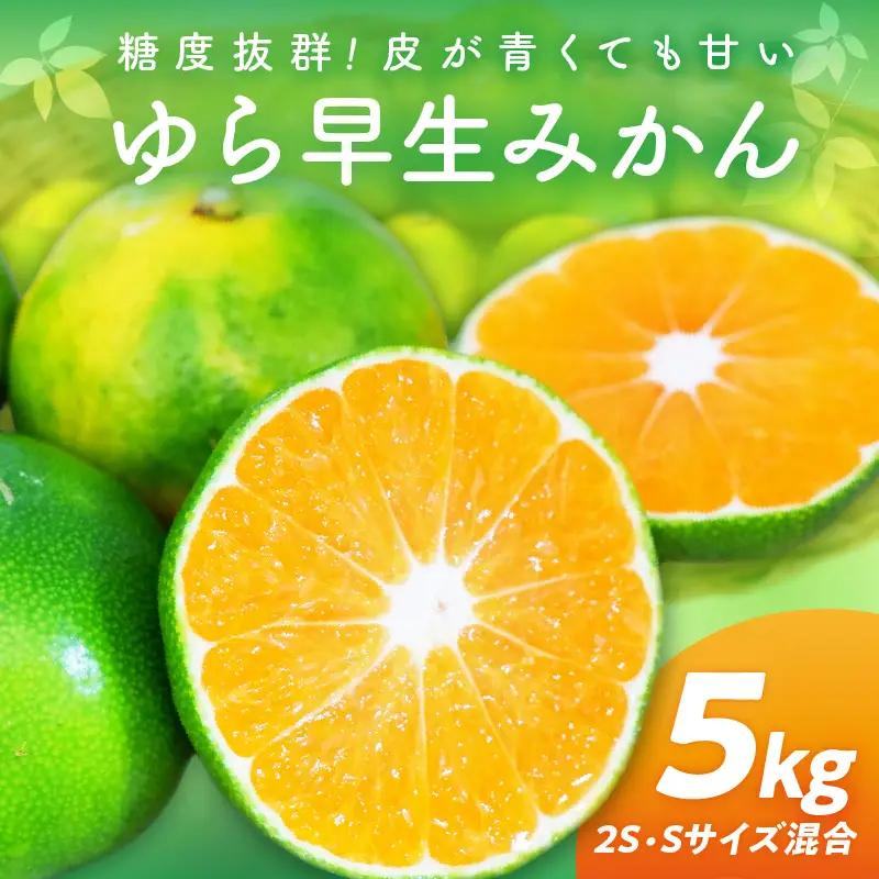 糖度抜群！ゆら早生（みかん）5kg≪先行予約≫【0162-3】