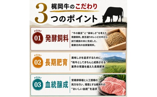 梶岡牛 ジャーキー【JERKY?NOT JERKY!!】 1袋 ｜ おつまみ ジャーキー 乾燥肉 珍味 おやつ A5 黒毛和牛 牛 うし 牛肉 ビーフ お肉 肉 セット 肉加工品 お取り寄せ グルメ 